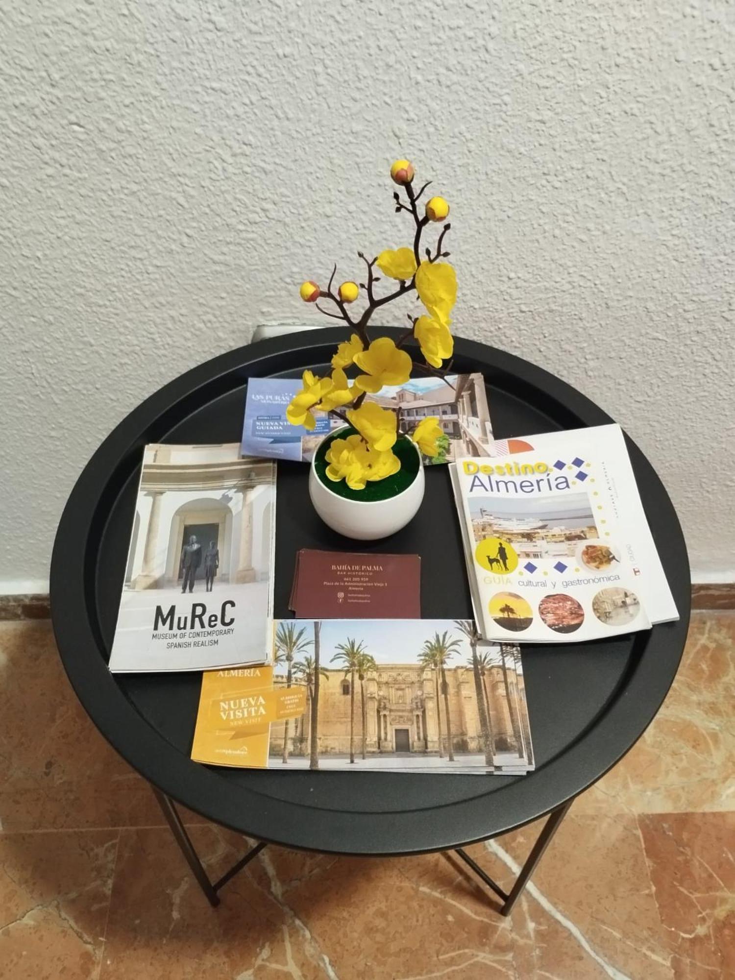 Piso Museo Del Realismo - Catedral - Alcazaba Con Parking Gratis - Super Wifi Daire Almería Dış mekan fotoğraf